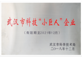 开云kaiyun网页版官网荣获武汉市科技小巨人企业